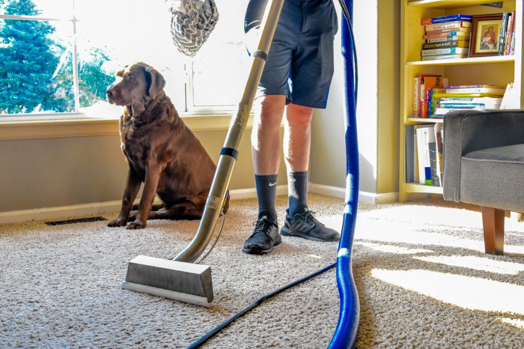 Wool Carpet Cleaning Thornton CO
