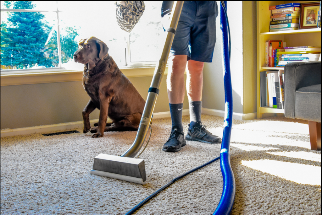 Carpet Cleaning Services Thornton CO