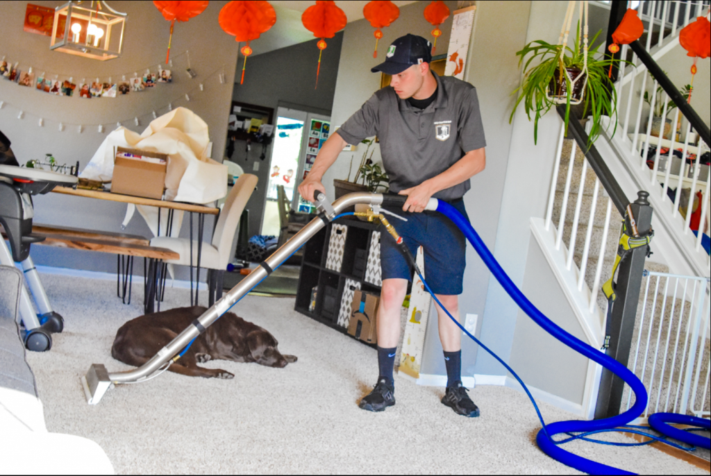 Heavy Duty Carpet Cleaner Thornton CO