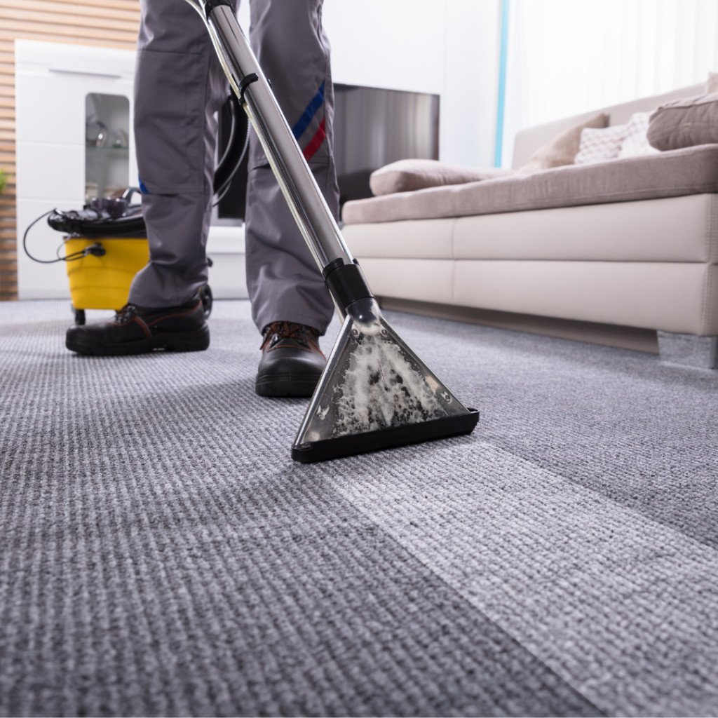 Professional carpet cleaning services Thornton CO
