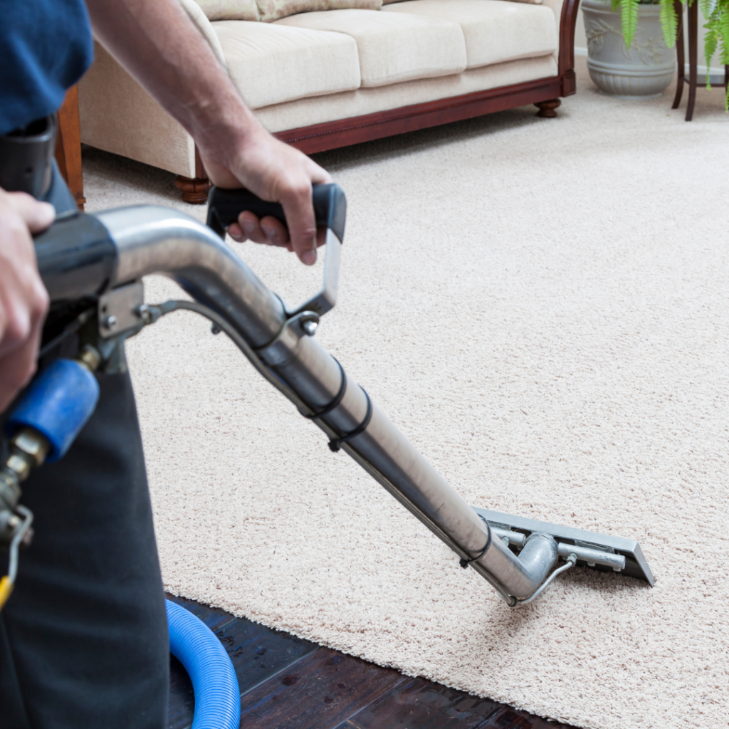Emergency Carpet Cleaning Thornton CO