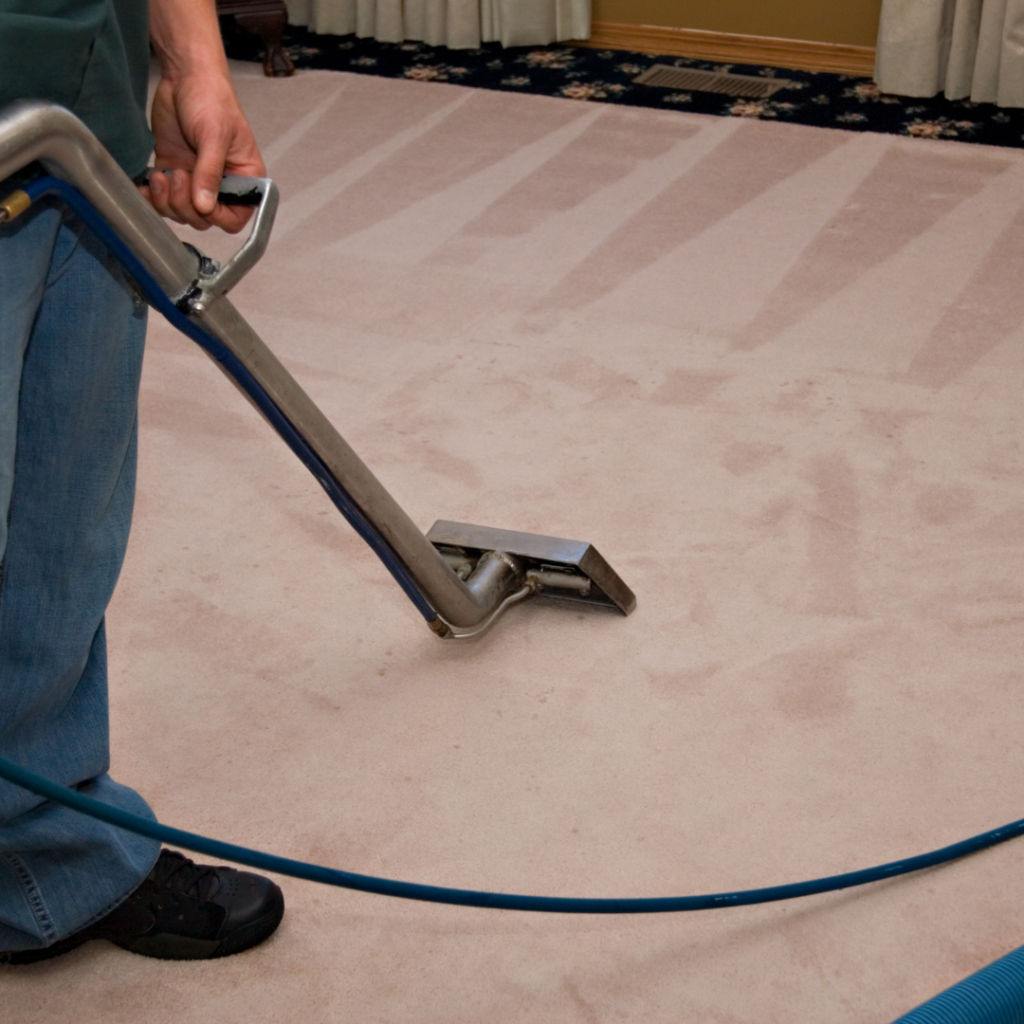 Carpet Cleaning Thornton CO