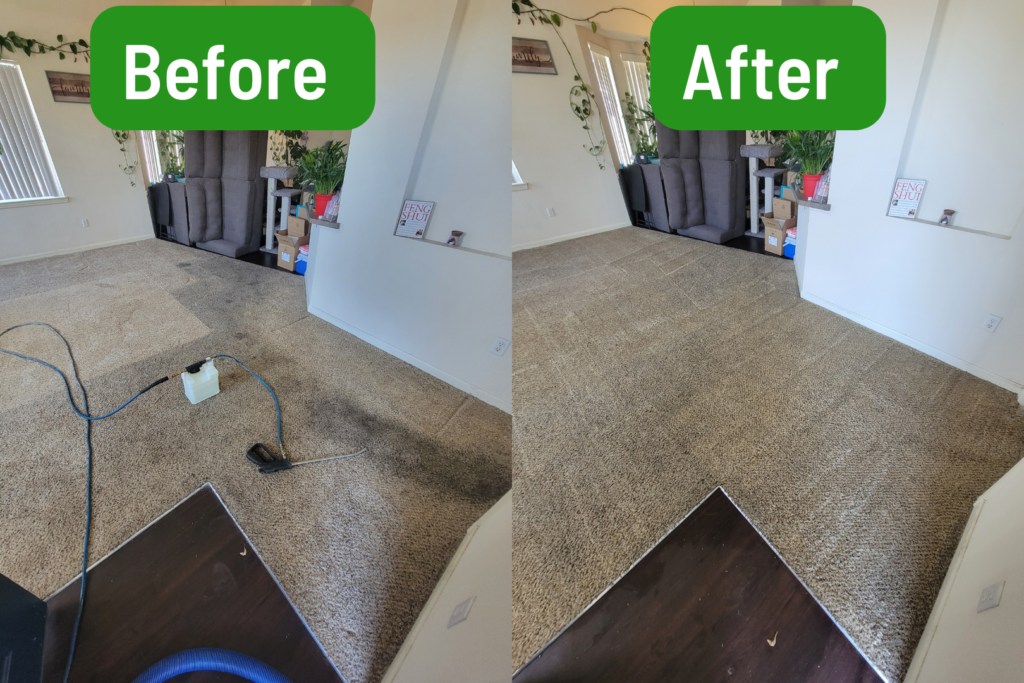 Before & After Carpet Cleaning Services Thornton CO
