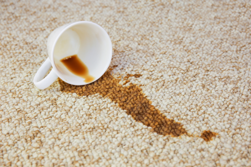 cup of hot chocolate spilled on carpet