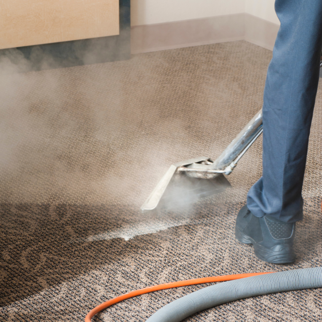 steam cleaning a dirty carpet