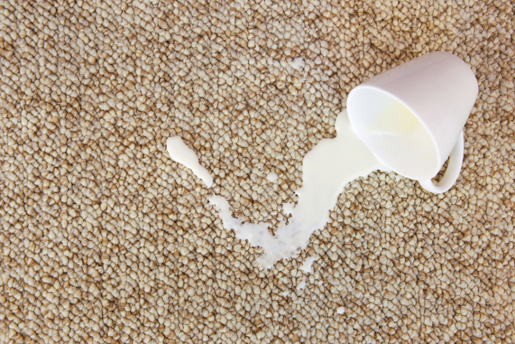 milk spilled from mug onto carpet