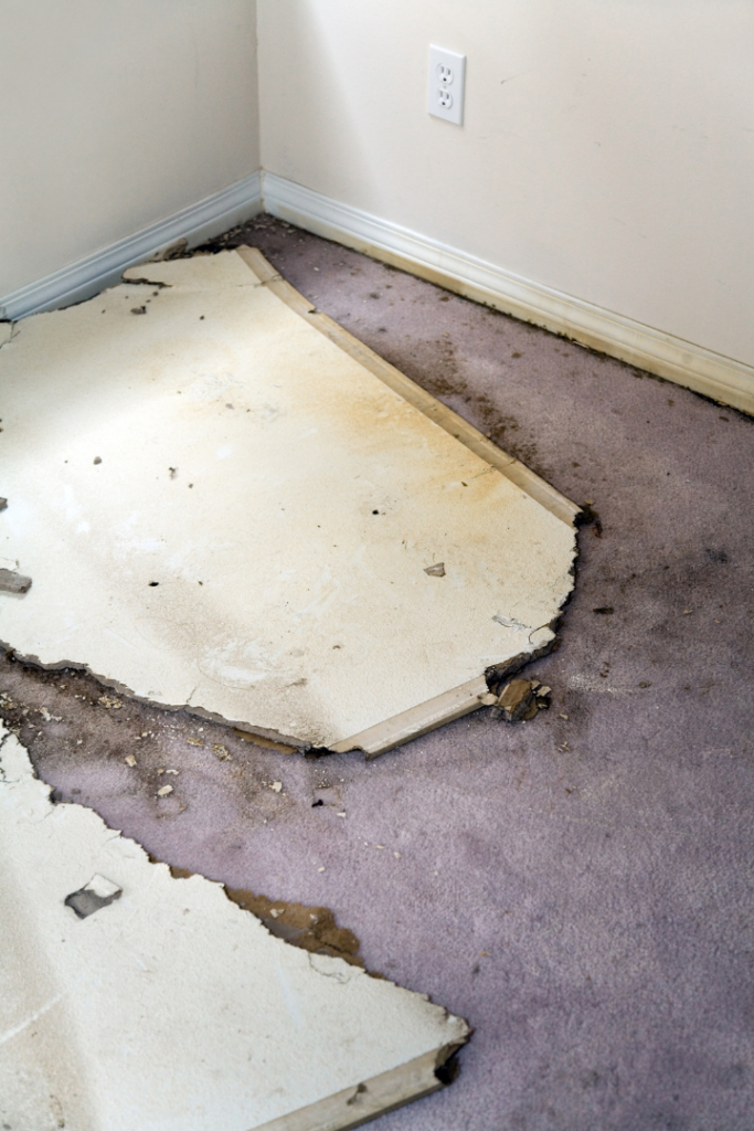 water damaged carpet getting ripped up