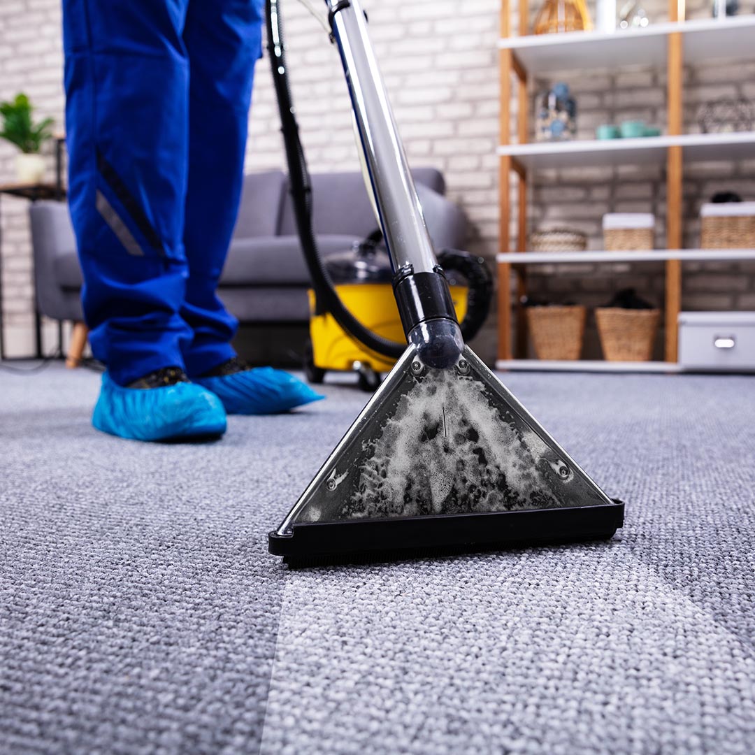 Carpet Cleaning Thornton CO